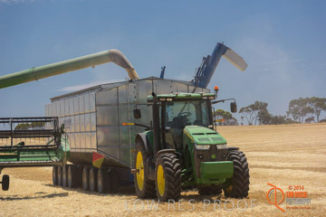 VITERRA 2013 / HARVESTING_DANIELS_124_141121