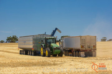 VITERRA 2013 / HARVESTING_DANIELS_153_141121