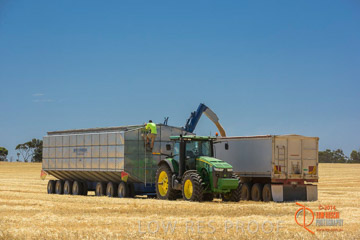 VITERRA 2013 / HARVESTING_DANIELS_155_141121