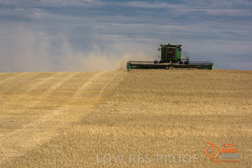 VITERRA 2013 / HARVESTING_DANIELS_185_141121