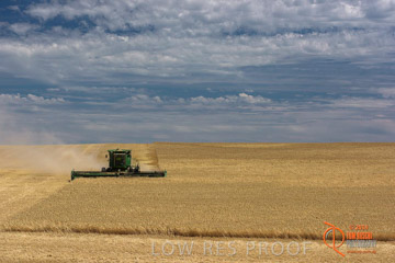 VITERRA 2013 / HARVESTING_DANIELS_191_141121