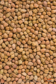 VITERRA 2013 / PEA_003_150114