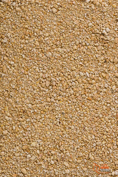 VITERRA 2013 / SOY_BEAN_MEAL_004_150114