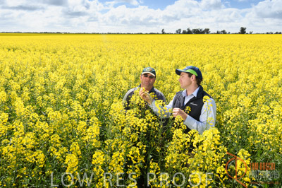 CALLAWADA_601_110920