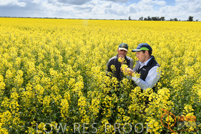 CALLAWADA_613_110920