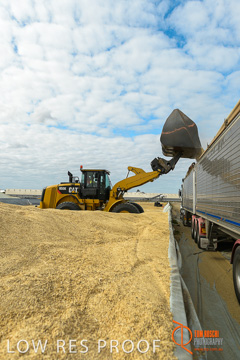 April 2015 / VITERRA_ROSEWORTHY_LOADER_0038_150429