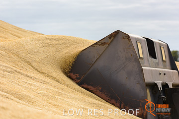 April 2015 / VITERRA_ROSEWORTHY_LOADER_0090_150429