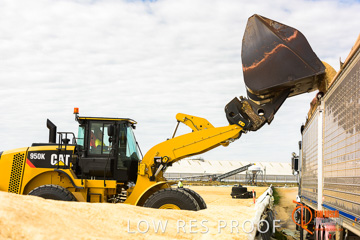 April 2015 / VITERRA_ROSEWORTHY_LOADER_0094_150429