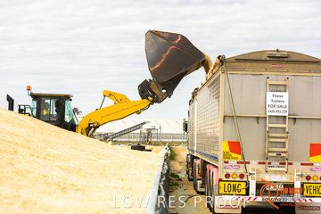 April 2015 / VITERRA_ROSEWORTHY_LOADER_0095_150429