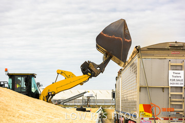 April 2015 / VITERRA_ROSEWORTHY_LOADER_0098_150429