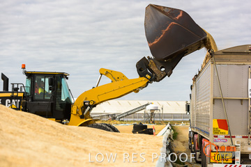 April 2015 / VITERRA_ROSEWORTHY_LOADER_0099_150429