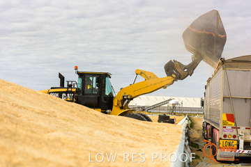 April 2015 / VITERRA_ROSEWORTHY_LOADER_0101_150429