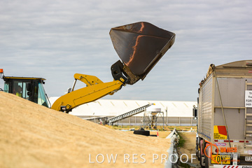 April 2015 / VITERRA_ROSEWORTHY_LOADER_0102_150429