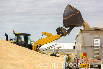 April 2015 / VITERRA_ROSEWORTHY_LOADER_0103_150429