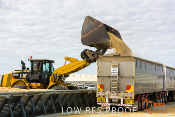 April 2015 / VITERRA_ROSEWORTHY_LOADER_0113_150429