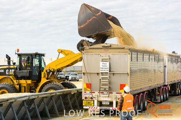 April 2015 / VITERRA_ROSEWORTHY_LOADER_0118_150429