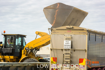 April 2015 / VITERRA_ROSEWORTHY_LOADER_0120_150429