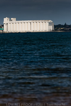 VITERRA 2013 / 110725_VITERRRA_PORT_LINCOLN_187_