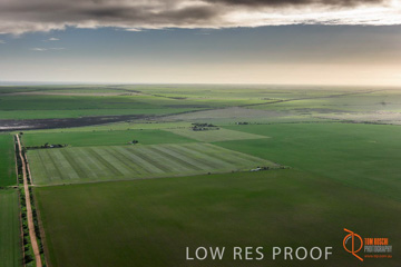 July 2015 / WALLAROO_KADINA_009_150724