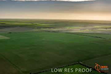 July 2015 / WALLAROO_KADINA_010_150724