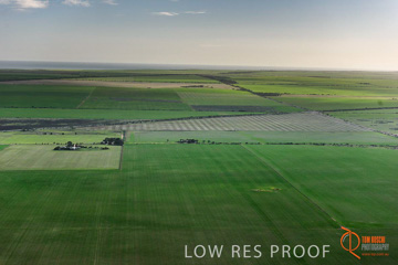 July 2015 / WALLAROO_KADINA_011_150724