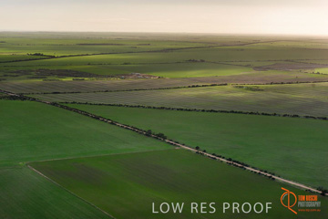 July 2015 / WALLAROO_KADINA_012_150724