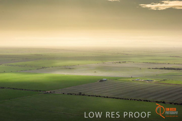 July 2015 / WALLAROO_KADINA_015_150724