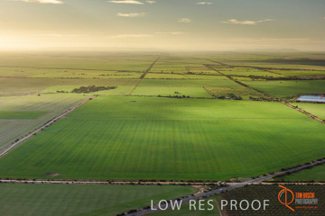 July 2015 / WALLAROO_KADINA_017_150724