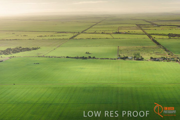 July 2015 / WALLAROO_KADINA_020_150724