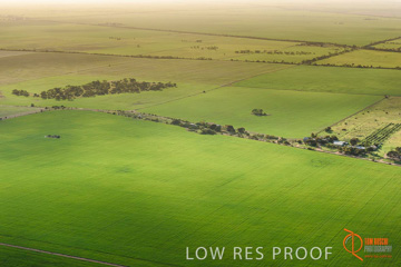 July 2015 / WALLAROO_KADINA_022_150724