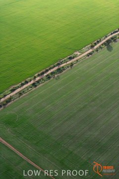 July 2015 / WALLAROO_KADINA_024_150724