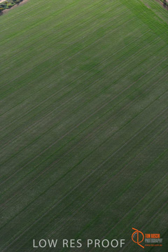 July 2015 / WALLAROO_KADINA_025_150724