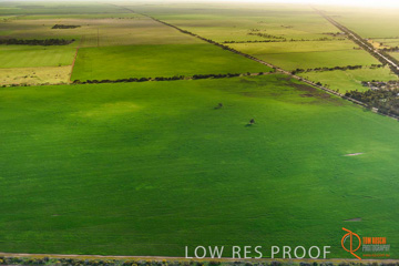 July 2015 / WALLAROO_KADINA_026_150724