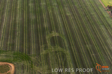 July 2015 / WALLAROO_KADINA_029_150724