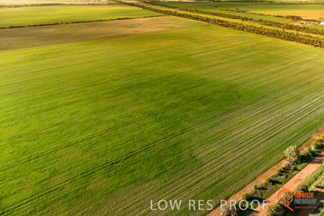 July 2015 / WALLAROO_KADINA_037_150724