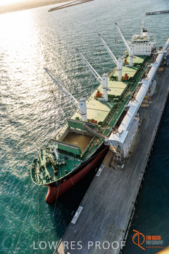 July 2015 / WALLAROO_TERNINAL_071_150724