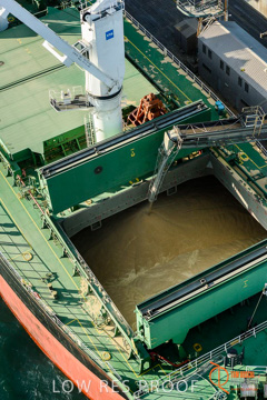 July 2015 / WALLAROO_TERNINAL_097_150724