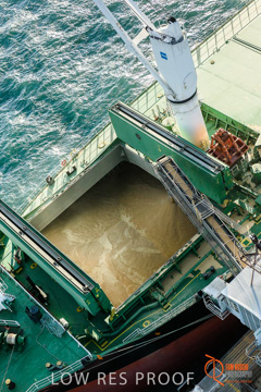 July 2015 / WALLAROO_TERNINAL_100_150724