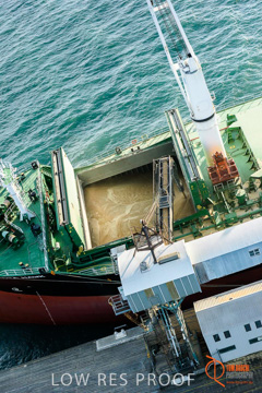 July 2015 / WALLAROO_TERNINAL_101_150724