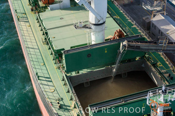 July 2015 / WALLAROO_TERNINAL_108_150724