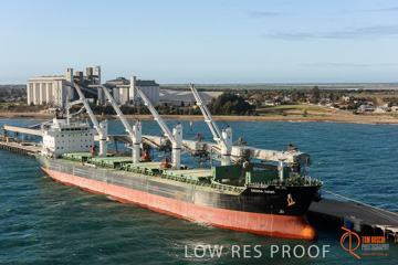 July 2015 / WALLAROO_TERNINAL_135_150724