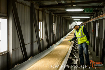VITERRA / CONVEYOR_WALLAROO_012_150724