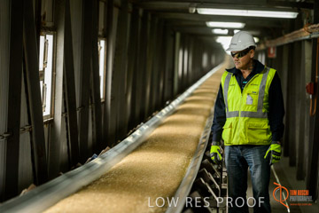 VITERRA / CONVEYOR_WALLAROO_013_150724