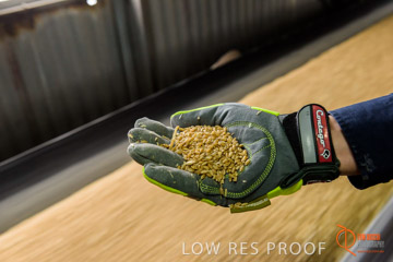 VITERRA / CONVEYOR_WALLAROO_032_150724