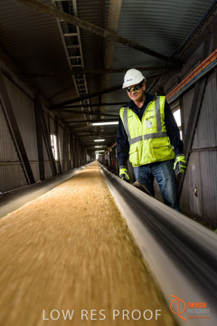 VITERRA / CONVEYOR_WALLAROO_034_150724