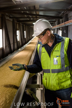 VITERRA / CONVEYOR_WALLAROO_048_150724