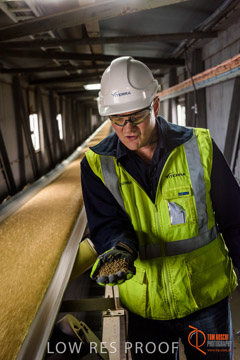 VITERRA / CONVEYOR_WALLAROO_050_150724