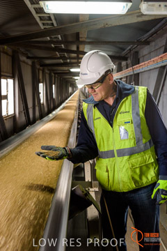 VITERRA / CONVEYOR_WALLAROO_056_150724