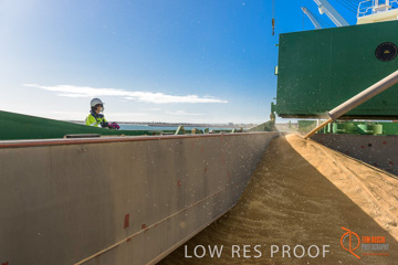 July 2015 / SHIP_LOADING_WALLAROO_009_150724