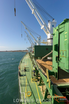 July 2015 / SHIP_LOADING_WALLAROO_031_150724